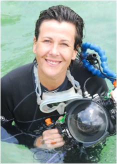 rencontre avec les dauphins var