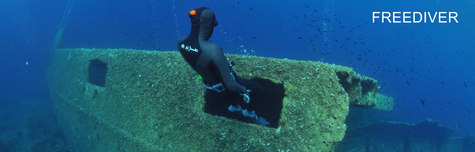 padi freediver pano