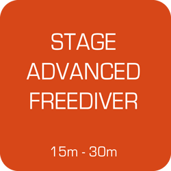 Stage Apnée Advanced Freediver les 23 et 24 septembre 2023