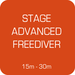 Stage Apnée Advanced Freediver les 21 et 22 octobre 2023