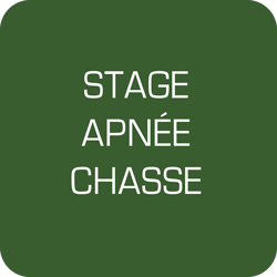 Stage initiation chasse sous-marine le 13 juillet 2019