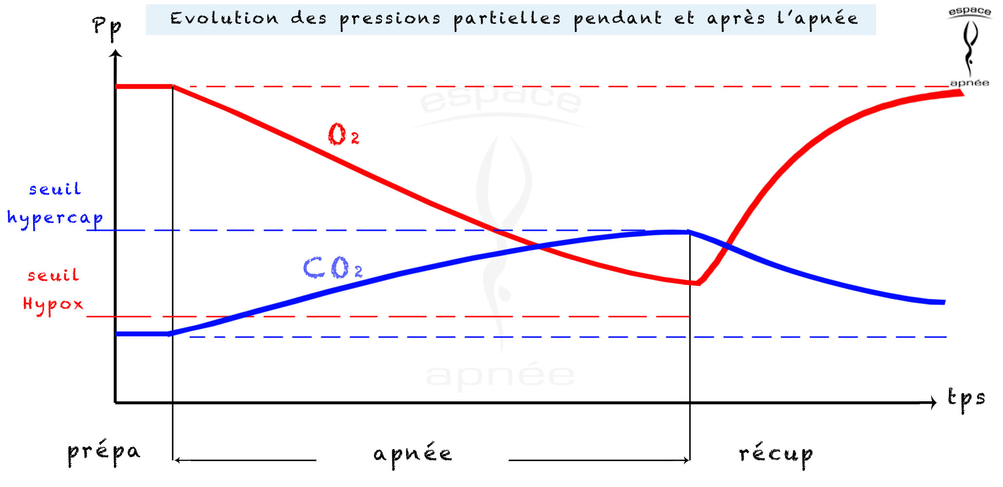 evolution pp apnee