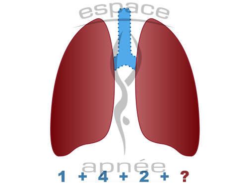 poumon seance respi 4 3